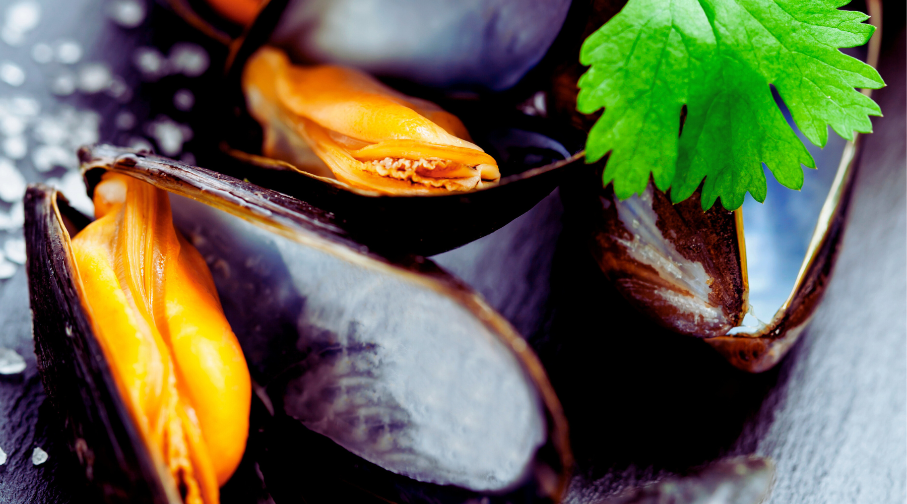 Celebrate St. Patrick’s Day with Mussels in Irish Cider Cream Sauce 🍀