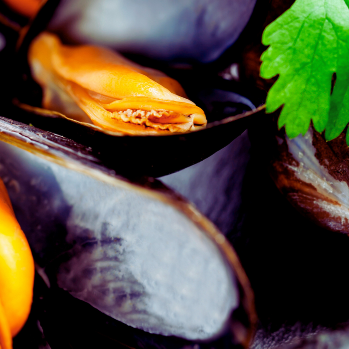 Celebrate St. Patrick’s Day with Mussels in Irish Cider Cream Sauce 🍀