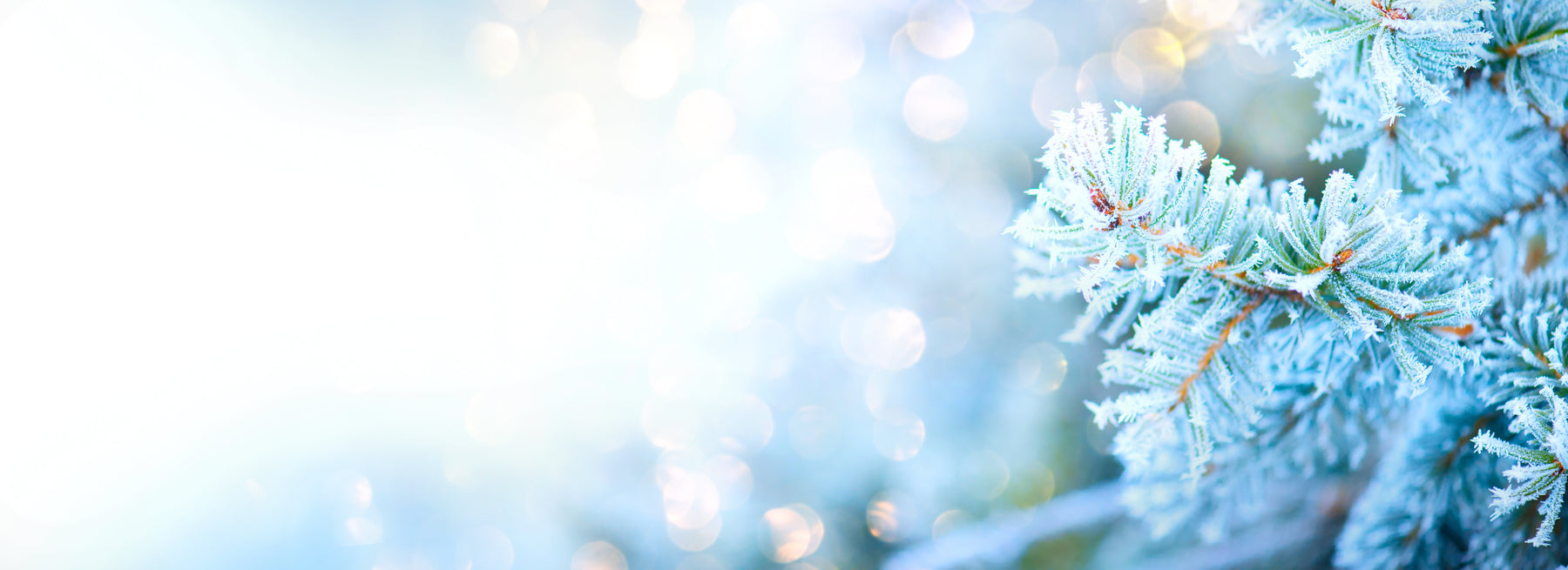 Happy New Year! Our Boxing Sale Continues